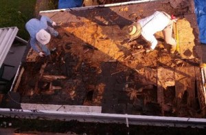 storm damage flat roof repair Maryland