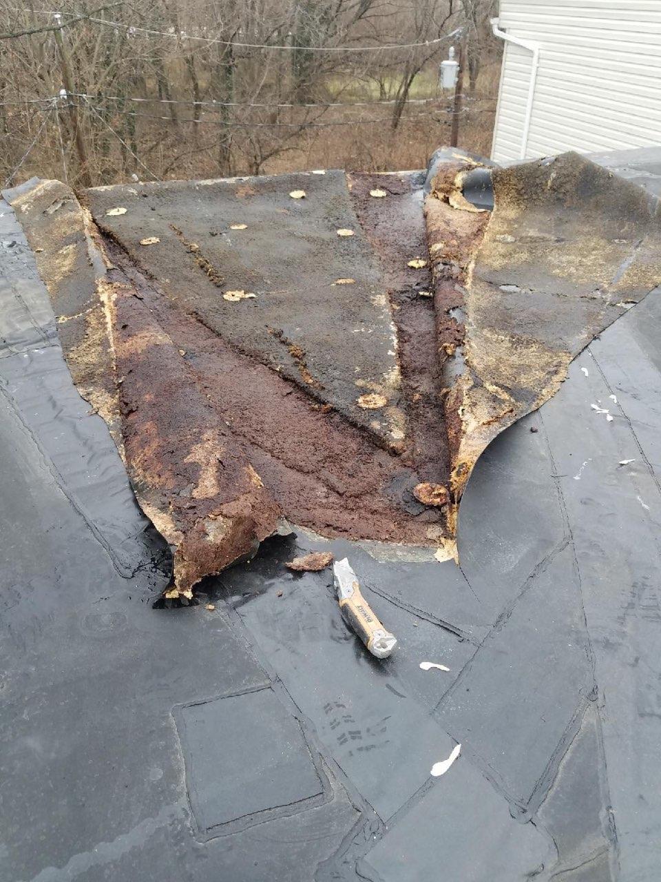 Flat roof repair maryland in progress