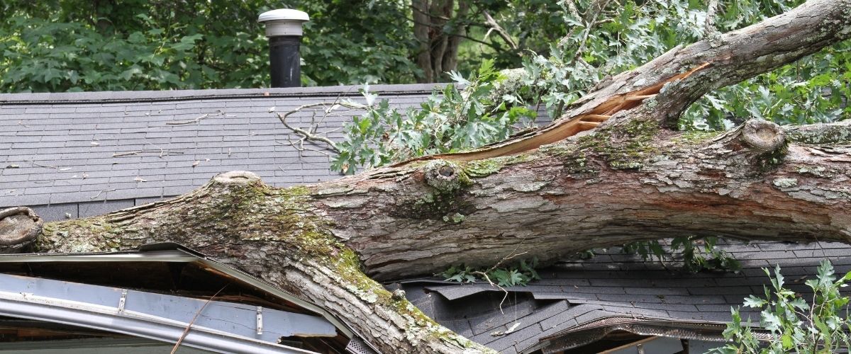 Storm damage roof repair Maryland specialists