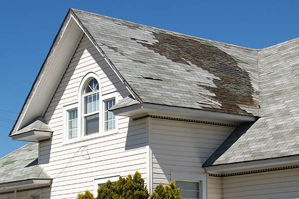 Storm damage restoration services
